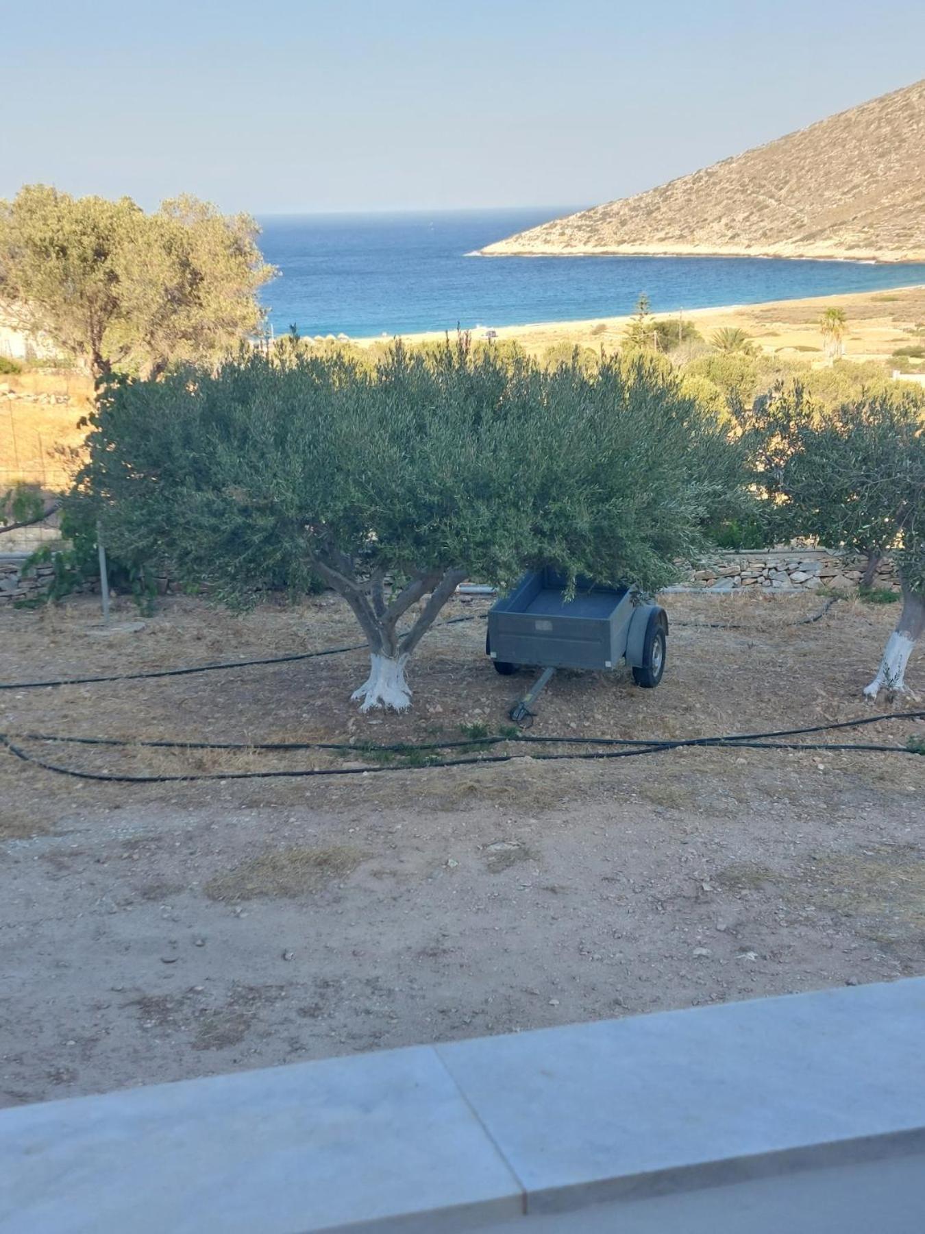 Koukos Hotel Agia Theodoti Exterior photo